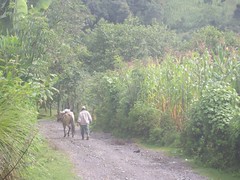 Quiet road on the way to San Francisco Javier