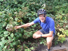 Stuart eating berries