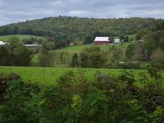 Countryside near Mosquitoville, Vermont